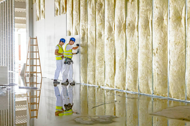 Types of Insulation We Offer in San Carlos Park, FL