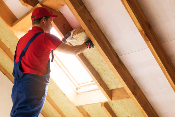 Professional Foam Insulation Services in San Carlos Park, FL